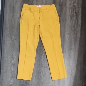 New York & Company Women's Yellow Cropped Pants